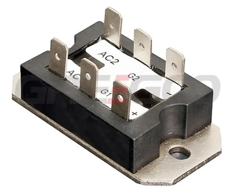 Greegoo VS-P102 Tek Fazlı Hibrit Köprü Ortak Katot 25A