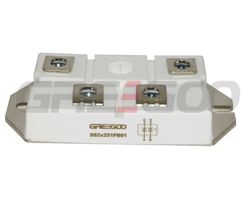 Greegoo SS2x251FB01 200A 100V Schottky Diyot Modülü (SOT-227)