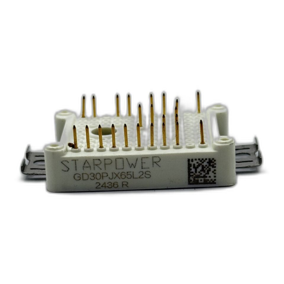 Starpower GD30PJX65L2S 650V 55A IGBT Güç Modülü