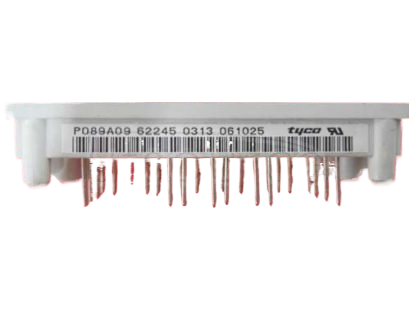 Tyco P089A09 Güç Kaynağı Modülü